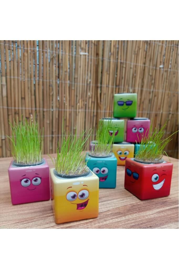 Emoji Figür Midi Küp Çim Adam Doğum Günü Ve Özel Günler Için