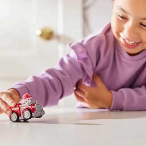 PAW Patrol Mini Pup Squad Yarışçıları Asorti