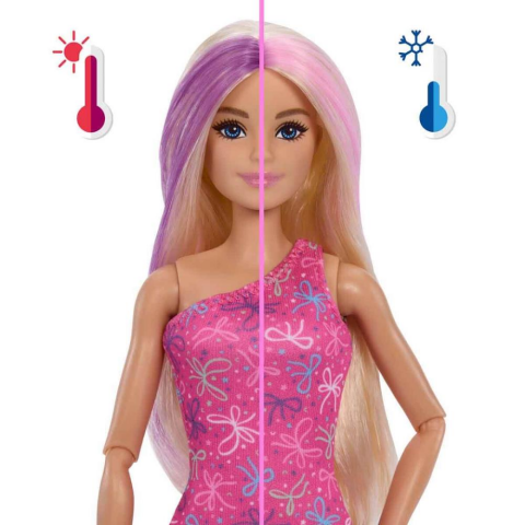 Barbie Rise and Surprise Parti Sürprizi Doğum Günü Seti JKF66