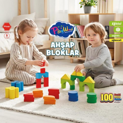 Kutuda Ahşap 100 Parça Renkli Bloklar