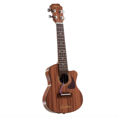 Çantalı Telli Gitar