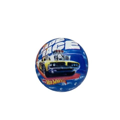 Lisanslı Baskılı 23 cm Top