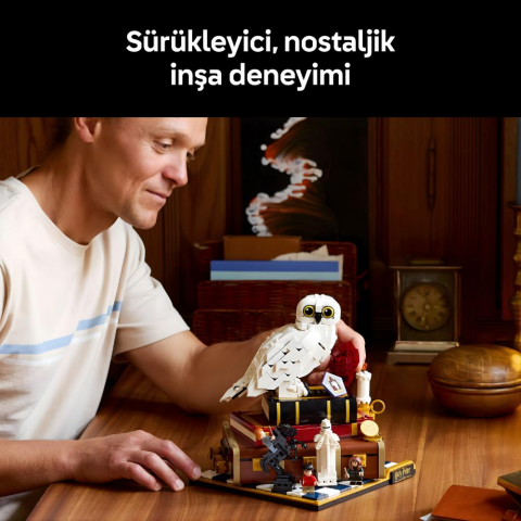 LEGO® Harry Potter™ Felsefe Taşı – Koleksiyoncu Versiyonu 76466