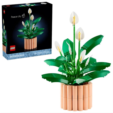 LEGO Botanicals Barış Çiçeği 11504