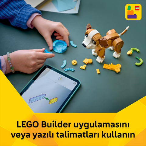 LEGO® Creator 3’ü 1 Arada Sevimli Hayvanlar: Yavru Köpek 31382