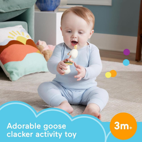 Fisher Price Animal Themed Sensimals Dişlik Seti