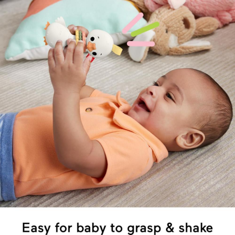 Fisher Price Animal Themed Sensimals Dişlik Seti