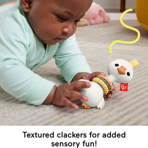 Fisher Price Animal Themed Sensimals Dişlik Seti