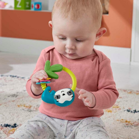 Fisher Price Eğlenceli Dostlar Makaralı Tembel Hayvan Hjw11