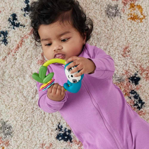Fisher Price Eğlenceli Dostlar Makaralı Tembel Hayvan Hjw11