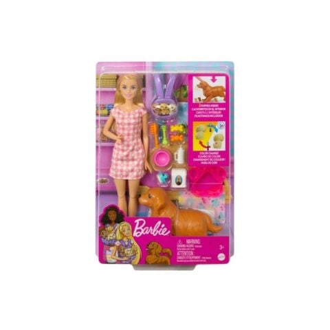 Barbie Ve Yeni Doğan Köpekler Oyun Seti Hck75