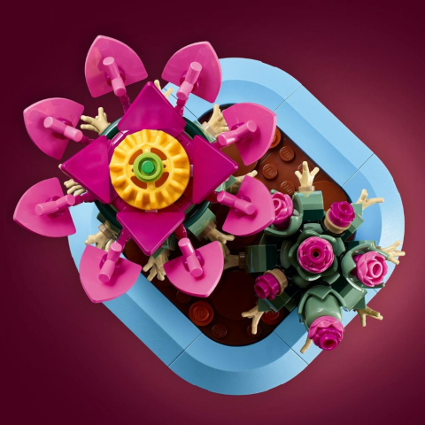 LEGO® Botanicals Çiçekli Kaktüs 11509