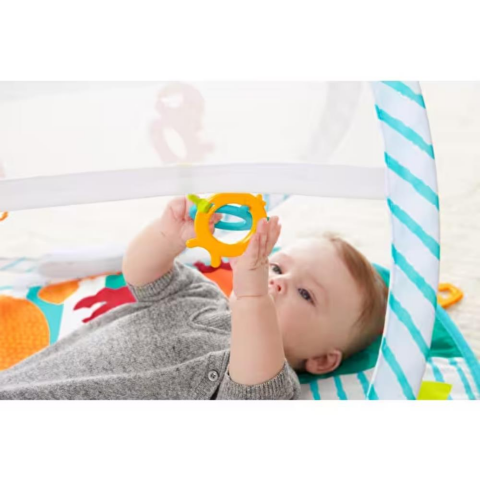 Fisher Price Renkli Dostlar Taşınabilir Jimnastik Merkezi FXC15