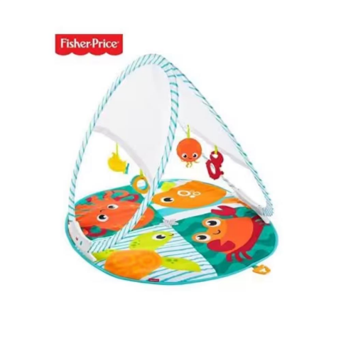 Fisher Price Renkli Dostlar Taşınabilir Jimnastik Merkezi FXC15