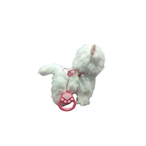 Pilli Kumandalı Kedi