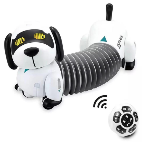 K22 Programlanabilir Uzayan Robot Köpek