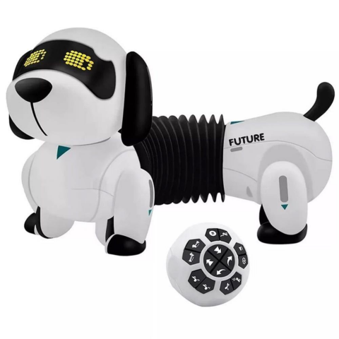 K22 Programlanabilir Uzayan Robot Köpek