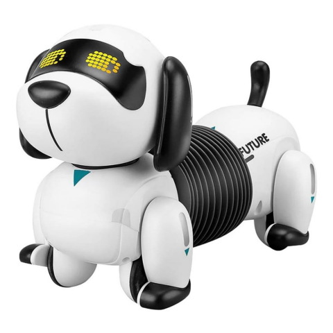 K22 Programlanabilir Uzayan Robot Köpek
