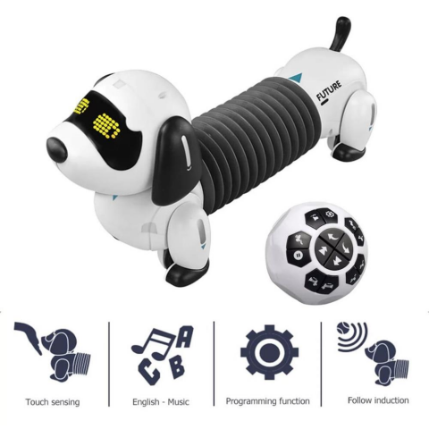 K22 Programlanabilir Uzayan Robot Köpek