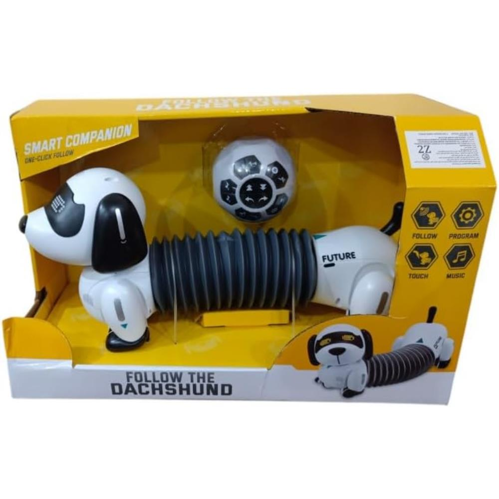 K22 Programlanabilir Uzayan Robot Köpek