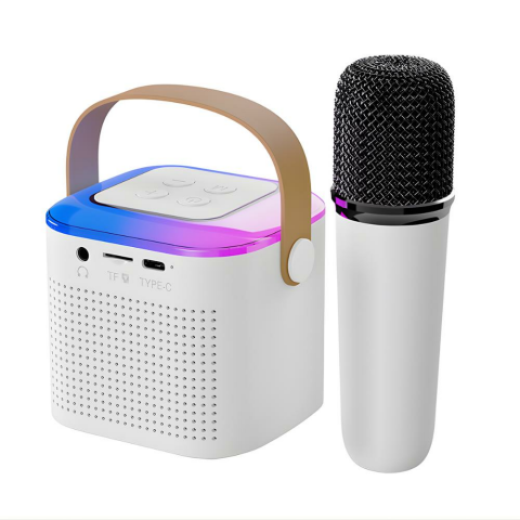 Y1 Taşınabilir Mikrofonlu Bluetooth Hoparlör, Kablosuz Çift Mikrofon