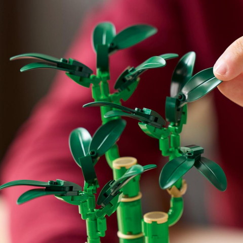 LEGO® Botanicals Şans Bambusu Dekoratif Bitki 10344