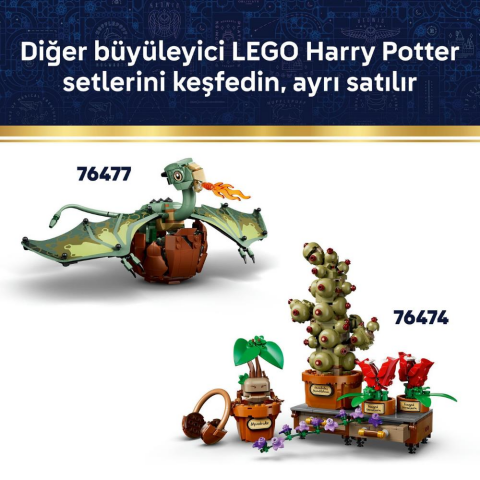 LEGO® Harry Potter™ Özgür Ev Cini Dobby™ 76469