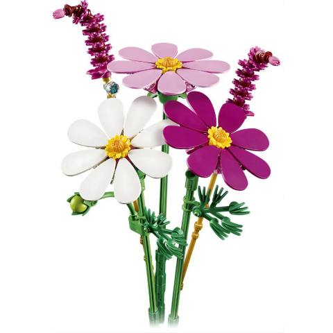 LEGO® Botanicals Kozmos Çiçekleri 11514