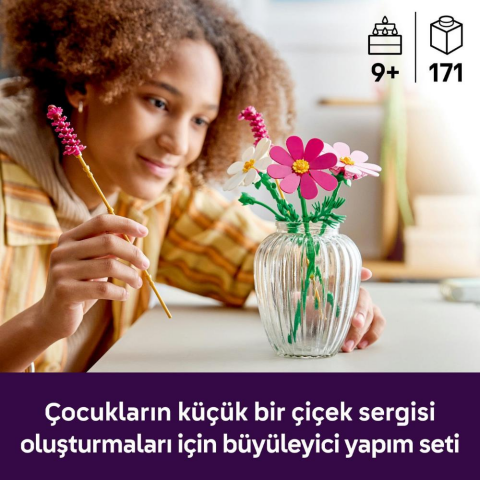 LEGO® Botanicals Kozmos Çiçekleri 11514