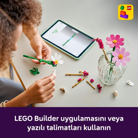 LEGO® Botanicals Kozmos Çiçekleri 11514