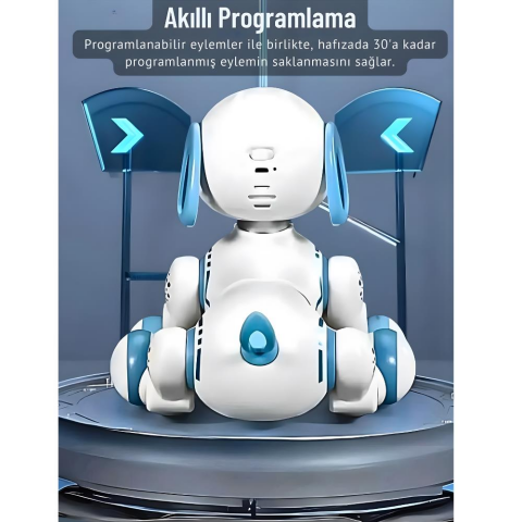 Uzaktan Kumandalı Çok Fonksiyonlı Akllı Aktivite & Eğlence Robot Köpek