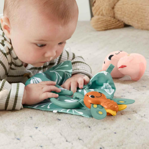 Fisher Price Duyuları Harekete Geçiren Oyun Seti HRB17