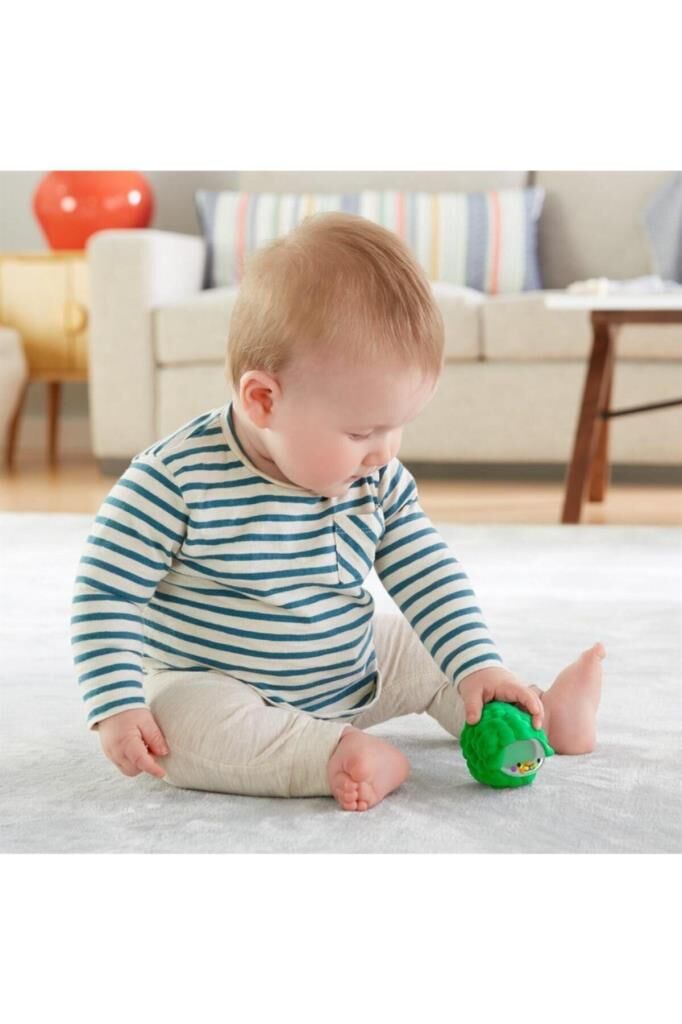 Fisher Price Sürprizli Oyuncaklar GJW22-GLD07