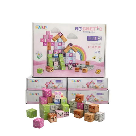 Magnet Küp Yapı Blok Seti 113 Parça