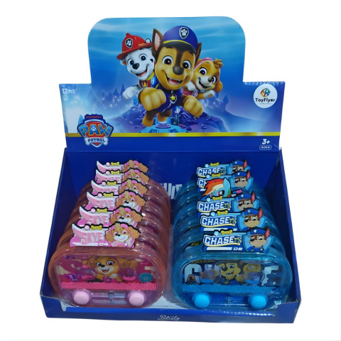 Işıklı Su Oyunu Paw Patrol