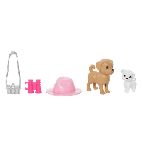 Barbie ve Stacie Kız Kardeşler 2'li Paket HRM09