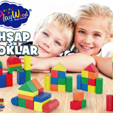 Kutuda Ahşap 60 Parça Renkli Bloklar