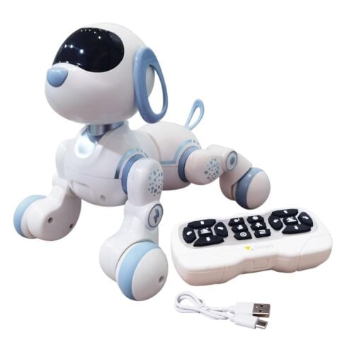 Uzaktan Kumandalı İnteraktif Akıllı Robot