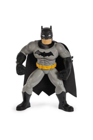 Dc Yüzme Arkadaşı Batman 6067008