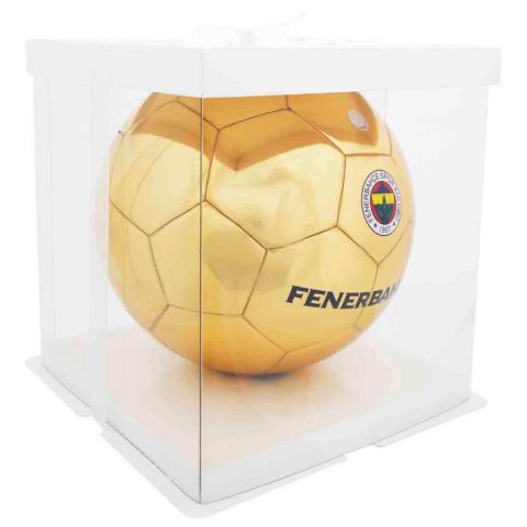 Fenerbahçe Futbol Topu Gold