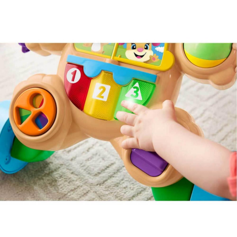Fisher Price Türkçe ve İngilizce Eğitici Köpekçik Yürüteç FTG10