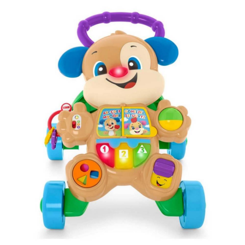 Fisher Price Türkçe ve İngilizce Eğitici Köpekçik Yürüteç FTG10