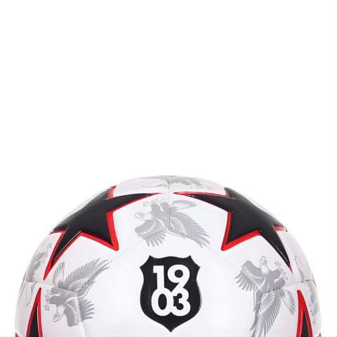 Beşiktaş Futbol Topu Lines