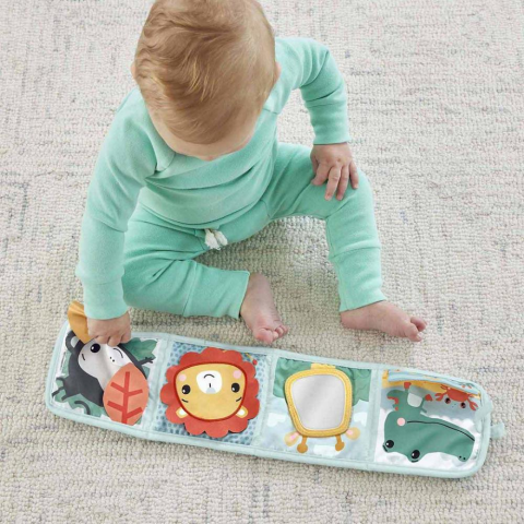 Fisher-Price Katla ve Oynat Etkinlik Paneli HML63
