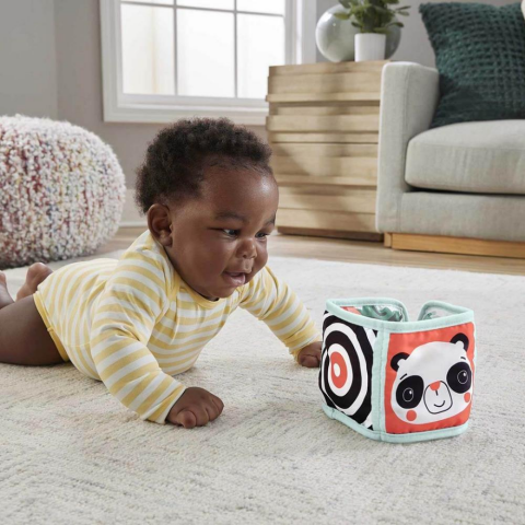 Fisher-Price Katla ve Oynat Etkinlik Paneli HML63
