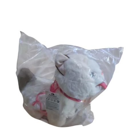 Pilli Kumandalı Kedi