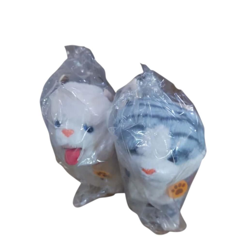Pilli Kumandalı Kedi