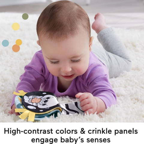 Fisher Price 2’si 1 Arada Su Samuru Eğlencesi HXG96