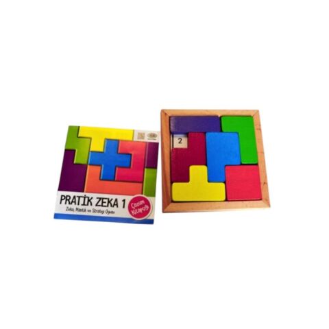 Pratik Zeka 1 Akıl Oyunu