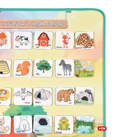 Hayvanlar ve Yaşam Alanları Keçe Cırtlı Duvar Panosu